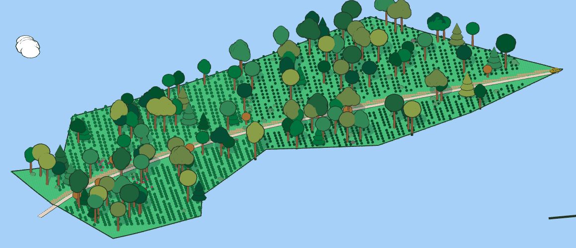 An illustrated 3D map of a long hillside coffee farm, with rows of coffee bushes, tall shade trees and a road running through the middle.